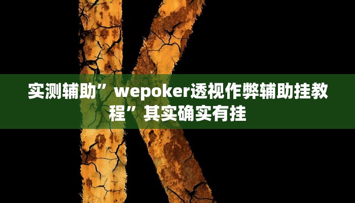 实测辅助”wepoker透视作弊辅助挂教程”其实确实有挂