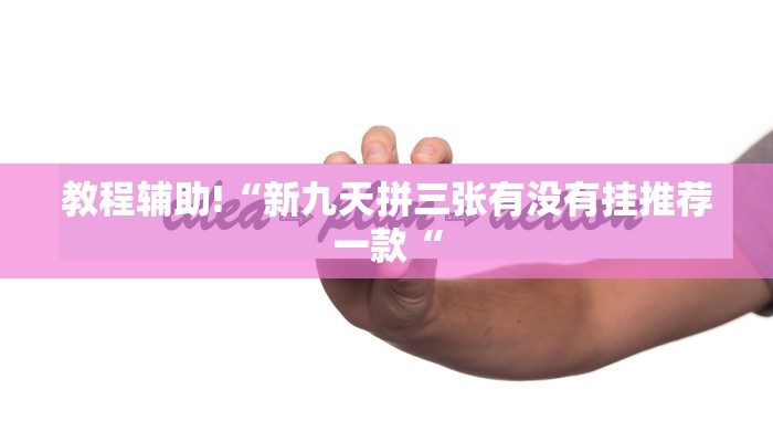 教程辅助!“新九天拼三张有没有挂推荐一款“