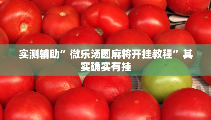 实测辅助”微乐汤圆麻将开挂教程”其实确实有挂