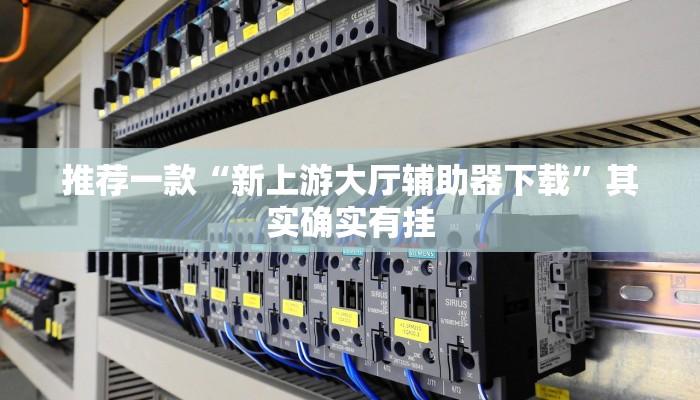 推荐一款“新上游大厅辅助器下载”其实确实有挂