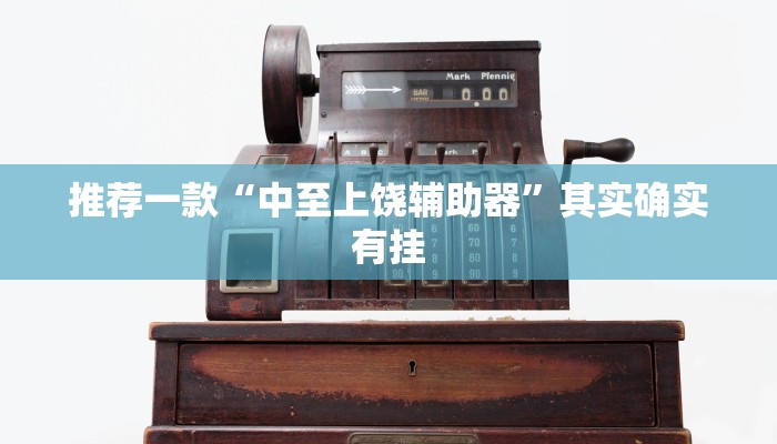推荐一款“中至上饶辅助器”其实确实有挂