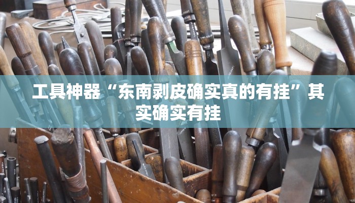 工具神器“东南剥皮确实真的有挂”其实确实有挂
