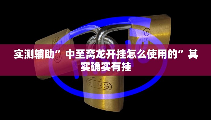 实测辅助”中至窝龙开挂怎么使用的”其实确实有挂