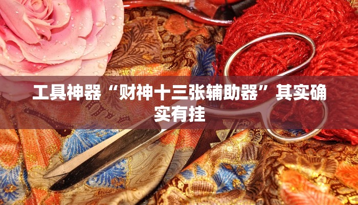 工具神器“财神十三张辅助器”其实确实有挂