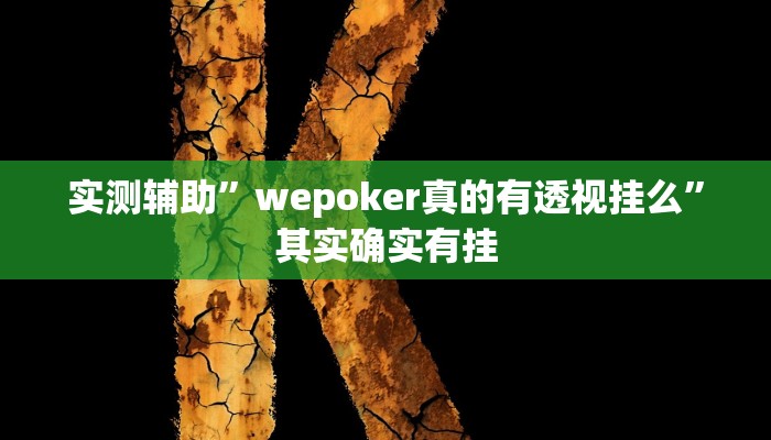 实测辅助”wepoker真的有透视挂么”其实确实有挂
