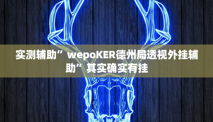 实测辅助”wepoKER德州局透视外挂辅助”其实确实有挂