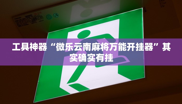工具神器“微乐云南麻将万能开挂器”其实确实有挂