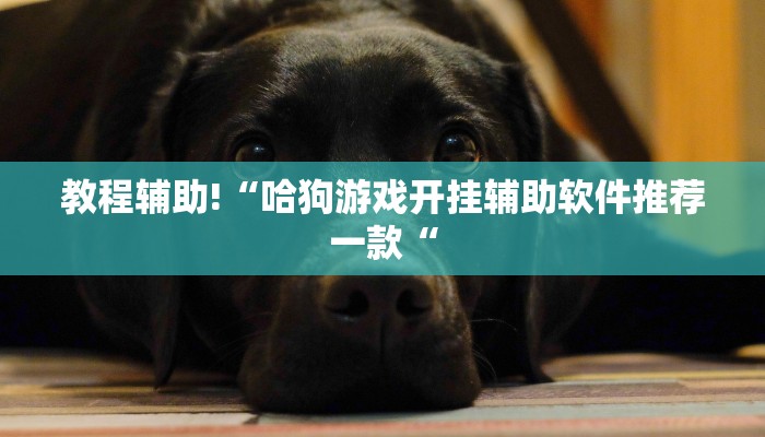 教程辅助!“哈狗游戏开挂辅助软件推荐一款“