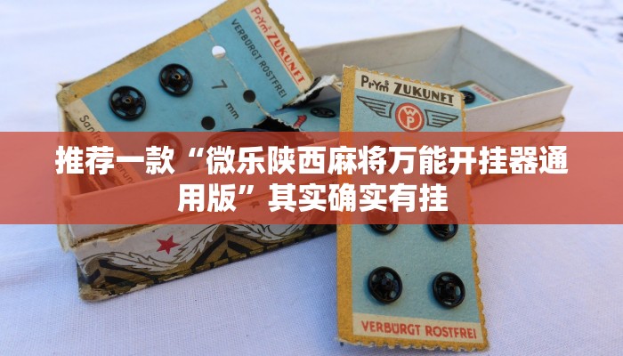 实测辅助”AApoker开挂神器”其实确实有挂
