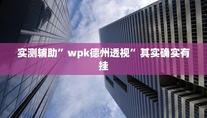实测辅助”wpk德州透视”其实确实有挂