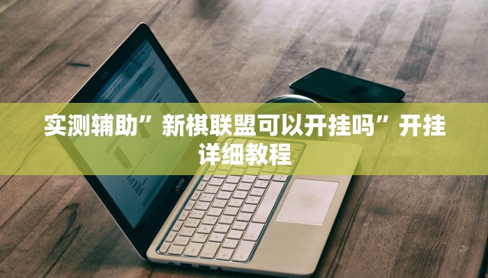 实测辅助”新棋联盟可以开挂吗”开挂详细教程