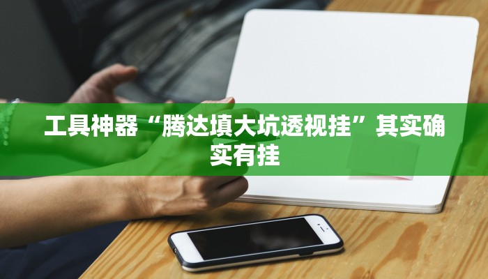 工具神器“腾达填大坑透视挂”其实确实有挂