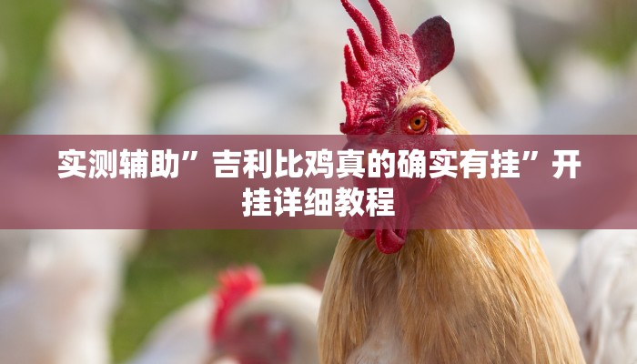 实测辅助”吉利比鸡真的确实有挂”开挂详细教程