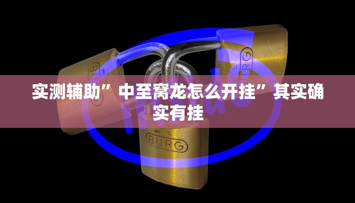 实测辅助”中至窝龙怎么开挂”其实确实有挂