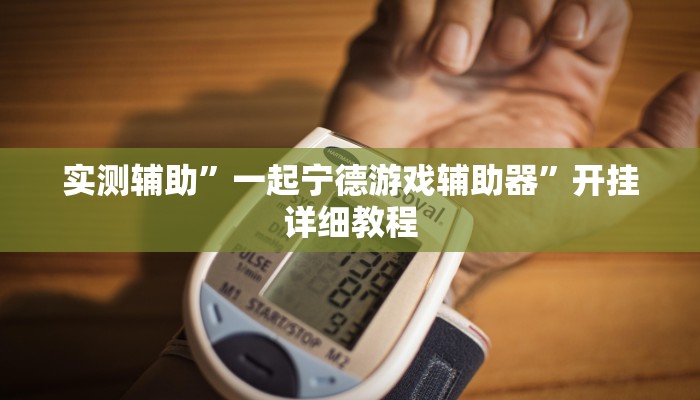 实测辅助”一起宁德游戏辅助器”开挂详细教程