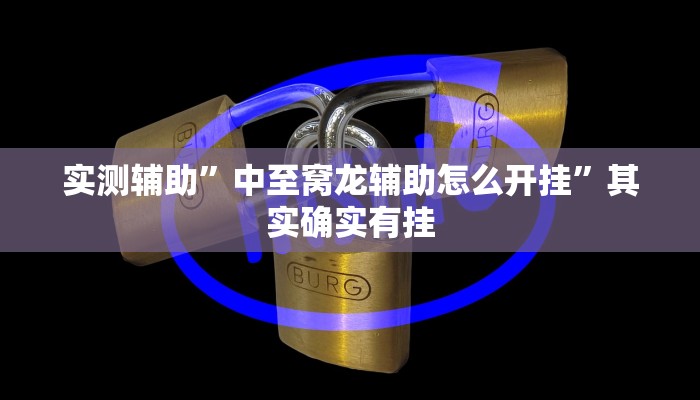 实测辅助”中至窝龙辅助怎么开挂”其实确实有挂