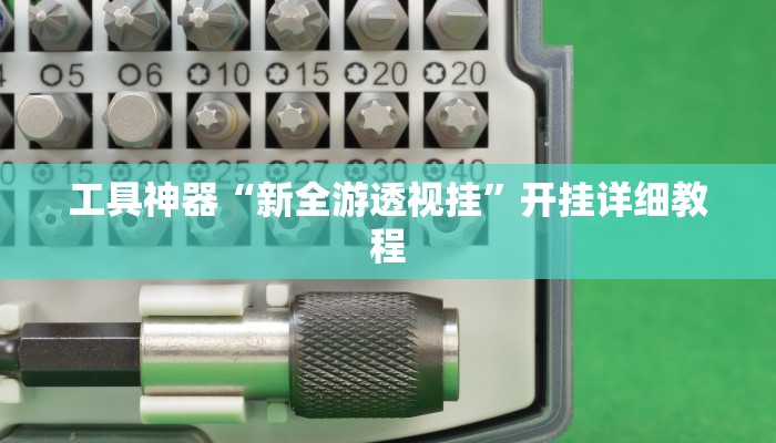 工具神器“新全游透视挂”开挂详细教程