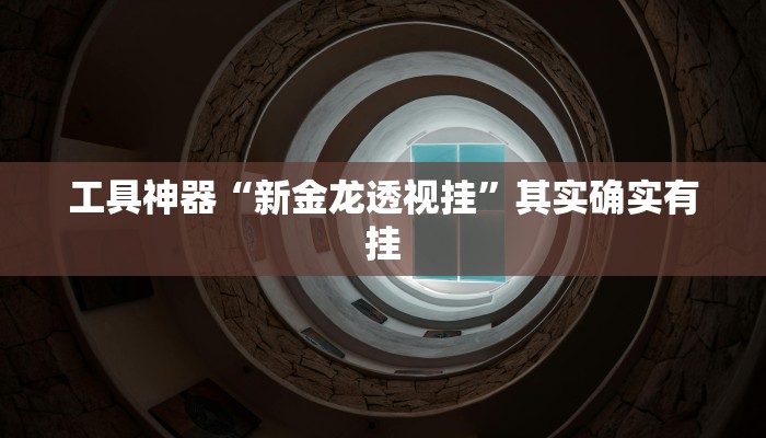 工具神器“新金龙透视挂”其实确实有挂