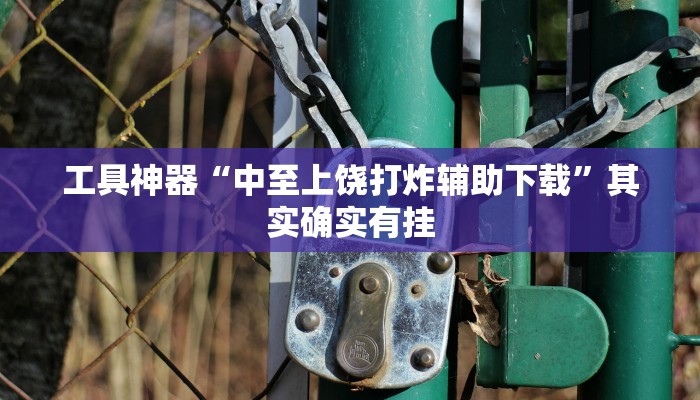 工具神器“中至上饶打炸辅助下载”其实确实有挂