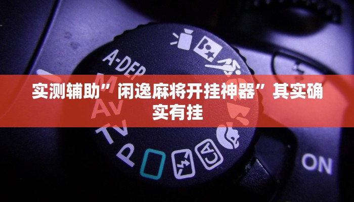 实测辅助”闲逸麻将开挂神器”其实确实有挂