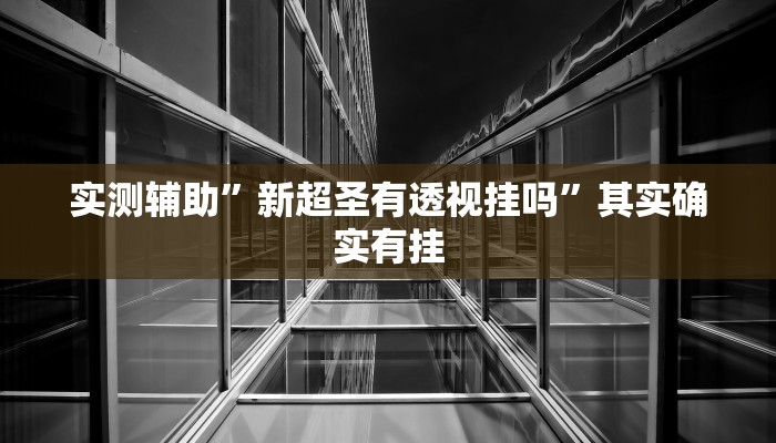 实测辅助”新超圣有透视挂吗”其实确实有挂