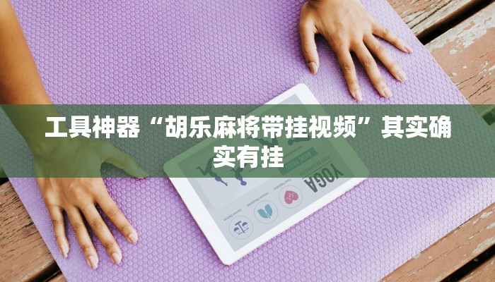 实测辅助”“wepoker”辅助工具”其实确实有挂