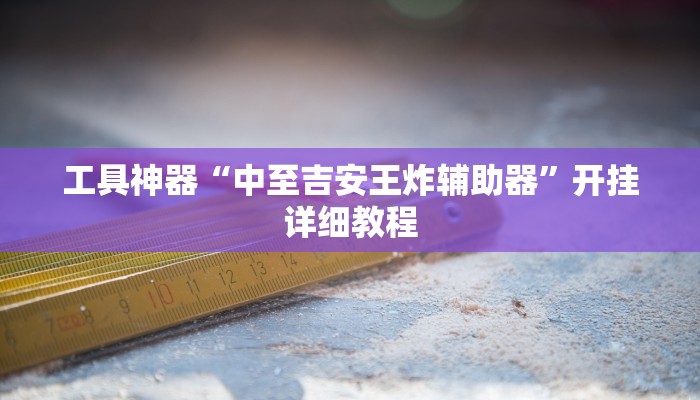 工具神器“中至吉安王炸辅助器”开挂详细教程