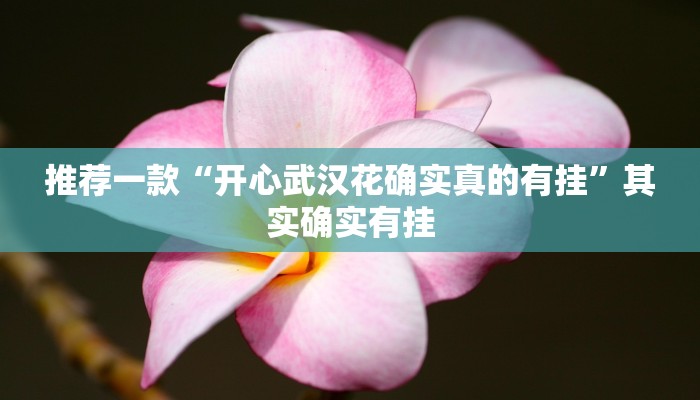 推荐一款“开心武汉花确实真的有挂”其实确实有挂