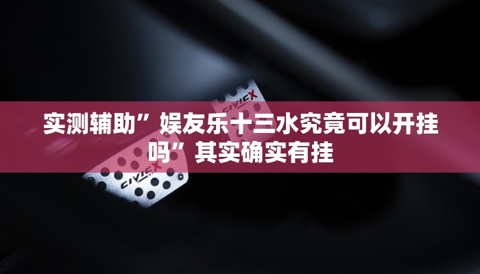 实测辅助”娱友乐十三水究竟可以开挂吗”其实确实有挂