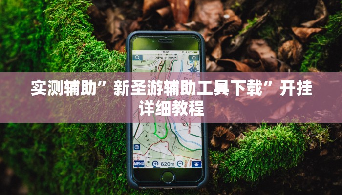 实测辅助”新圣游辅助工具下载”开挂详细教程