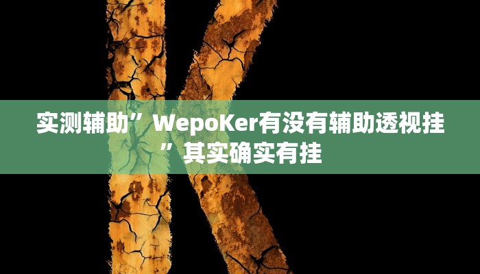 实测辅助”WepoKer有没有辅助透视挂”其实确实有挂