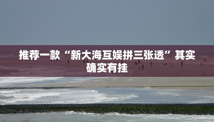 推荐一款“新大海互娱拼三张透”其实确实有挂