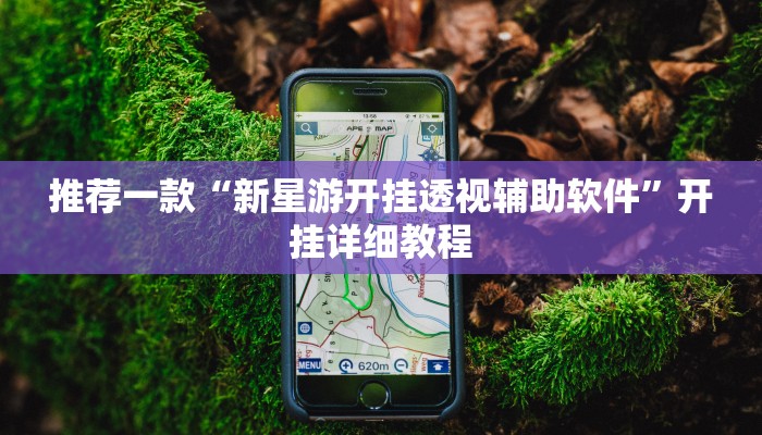 推荐一款“新星游开挂透视辅助软件”开挂详细教程