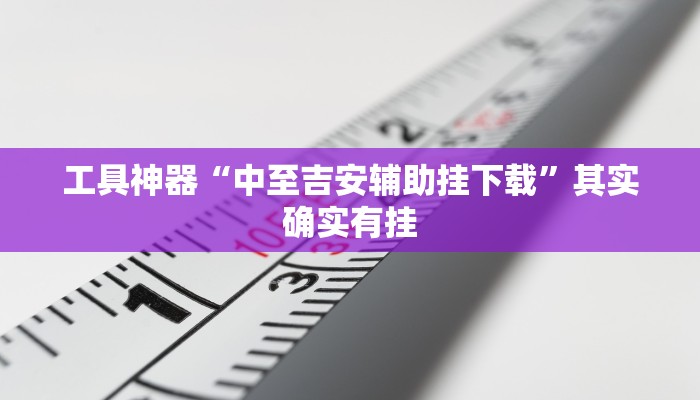 工具神器“中至吉安辅助挂下载”其实确实有挂
