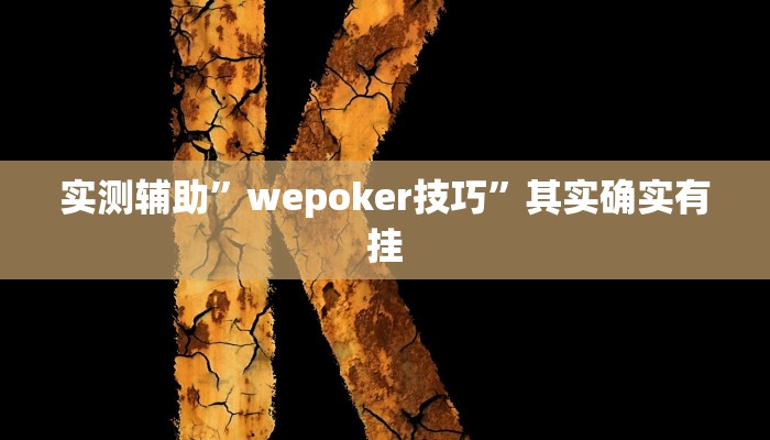 实测辅助”wepoker技巧”其实确实有挂