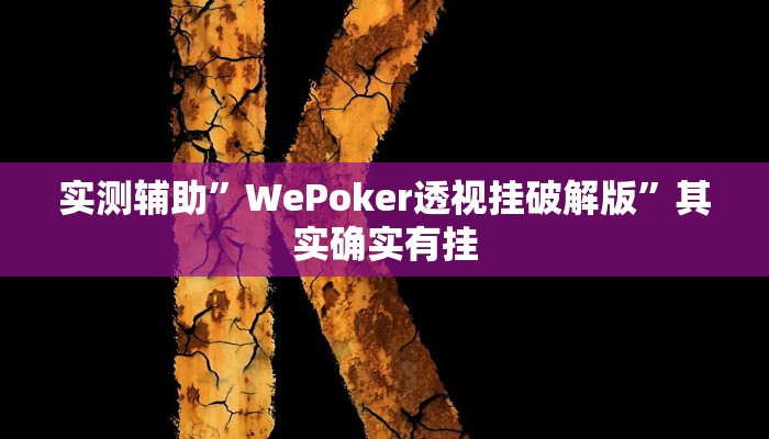 实测辅助”WePoker透视挂破解版”其实确实有挂