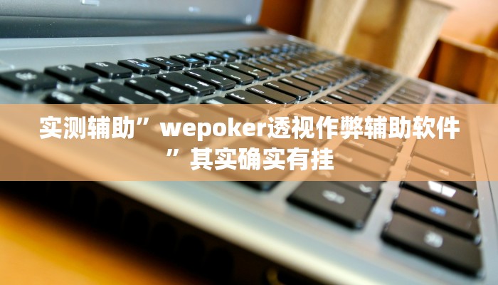 实测辅助”wepoker透视作弊辅助软件”其实确实有挂