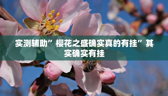 实测辅助”樱花之盛确实真的有挂”其实确实有挂