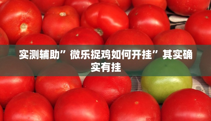 实测辅助”微乐捉鸡如何开挂”其实确实有挂