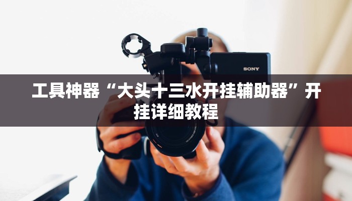 工具神器“大头十三水开挂辅助器”开挂详细教程