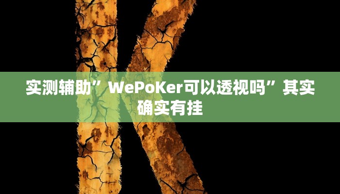 实测辅助”WePoKer可以透视吗”其实确实有挂
