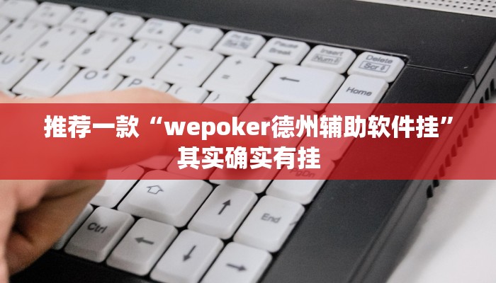 推荐一款“wepoker德州辅助软件挂”其实确实有挂