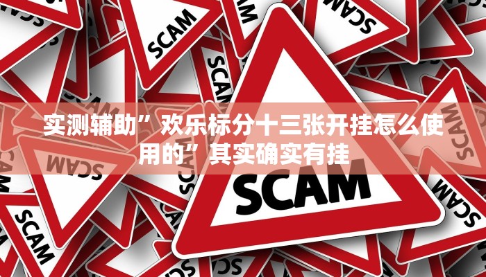 实测辅助”欢乐标分十三张开挂怎么使用的”其实确实有挂