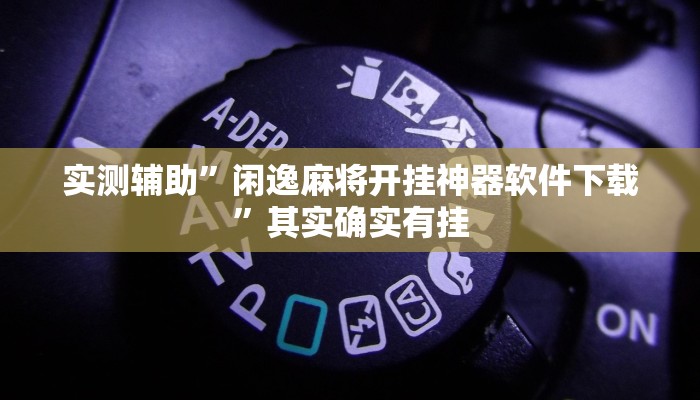 实测辅助”闲逸麻将开挂神器软件下载”其实确实有挂