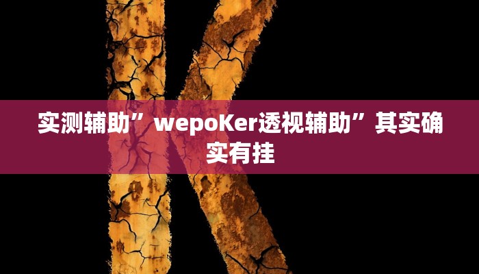 实测辅助”wepoKer透视辅助”其实确实有挂