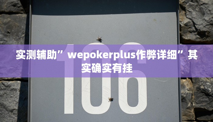 实测辅助”wepokerplus作弊详细”其实确实有挂