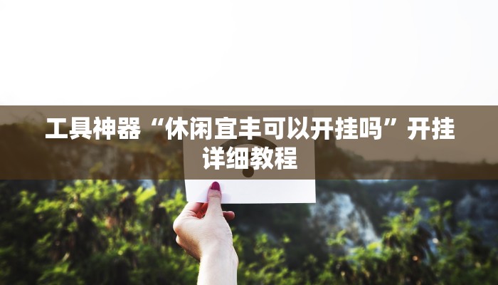 工具神器“休闲宜丰可以开挂吗”开挂详细教程