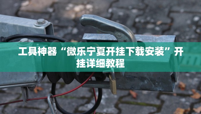 工具神器“微乐宁夏开挂下载安装”开挂详细教程