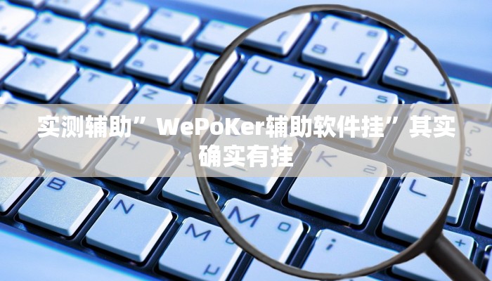 实测辅助”WePoKer辅助软件挂”其实确实有挂