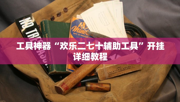 工具神器“好运众娱透视挂”开挂详细教程